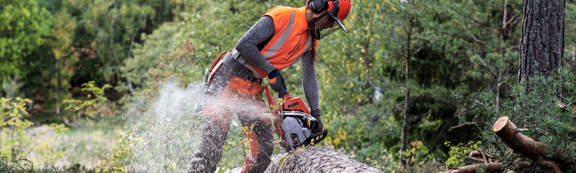 Skogsdag i Grästorp