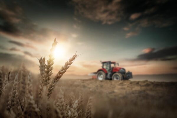 caseih_puma_165_cvxdrive_0820_at_a9013262_ret_3976_2652