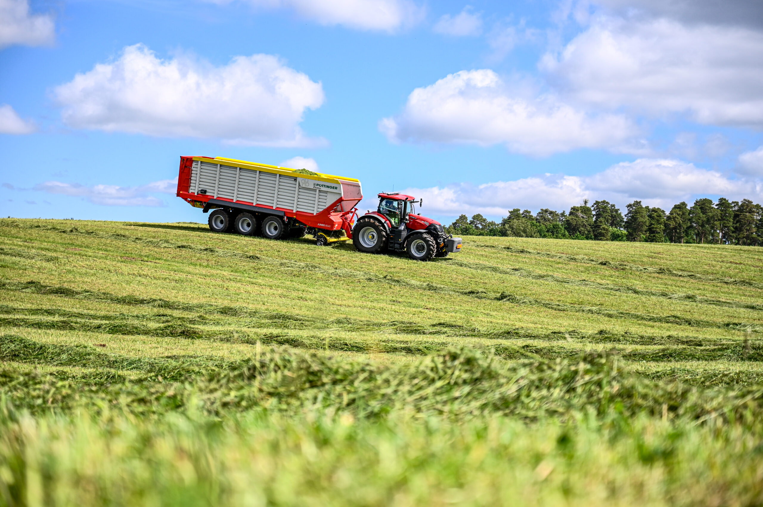 11/12 Kvällsvisning Kisa