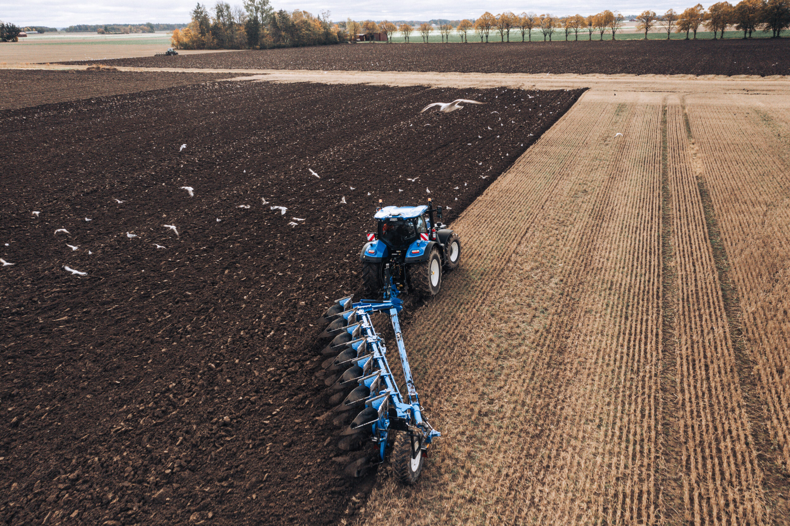 9/12 Skinkmackekväll Kalmar