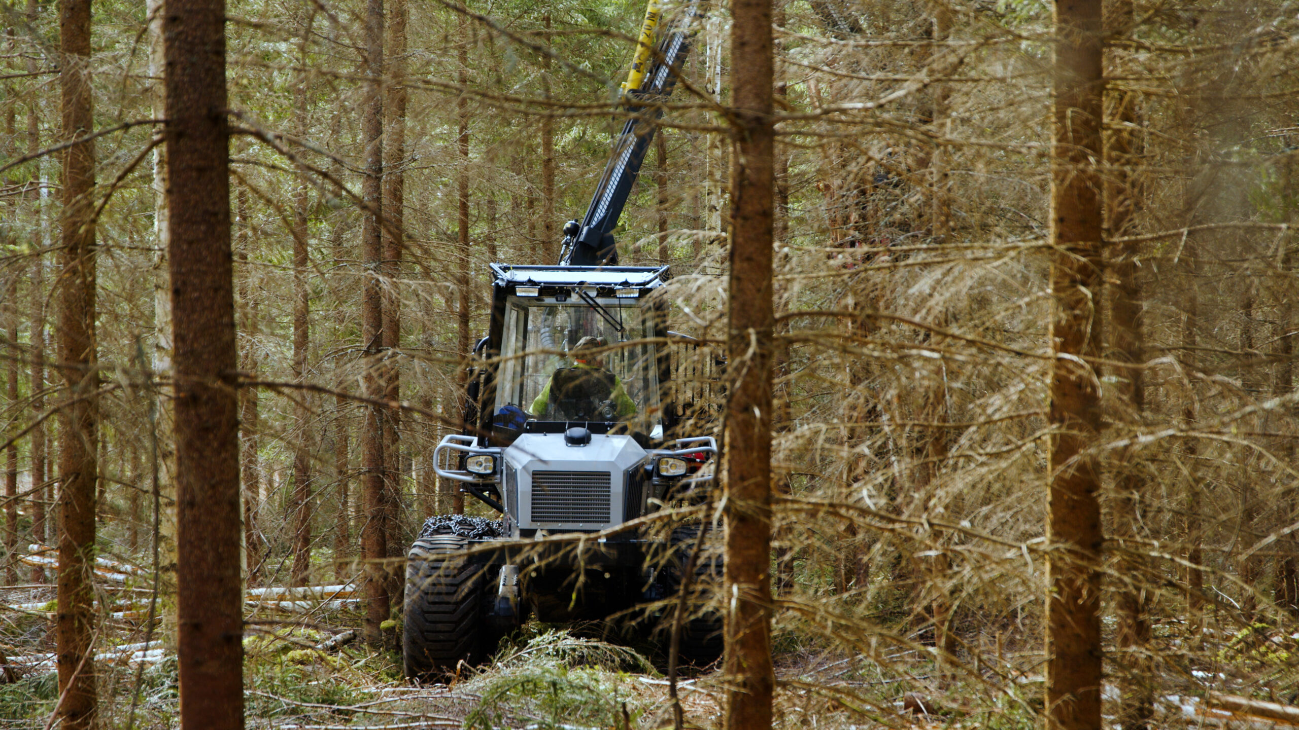28/2 Skogsdag Axima Veddige
